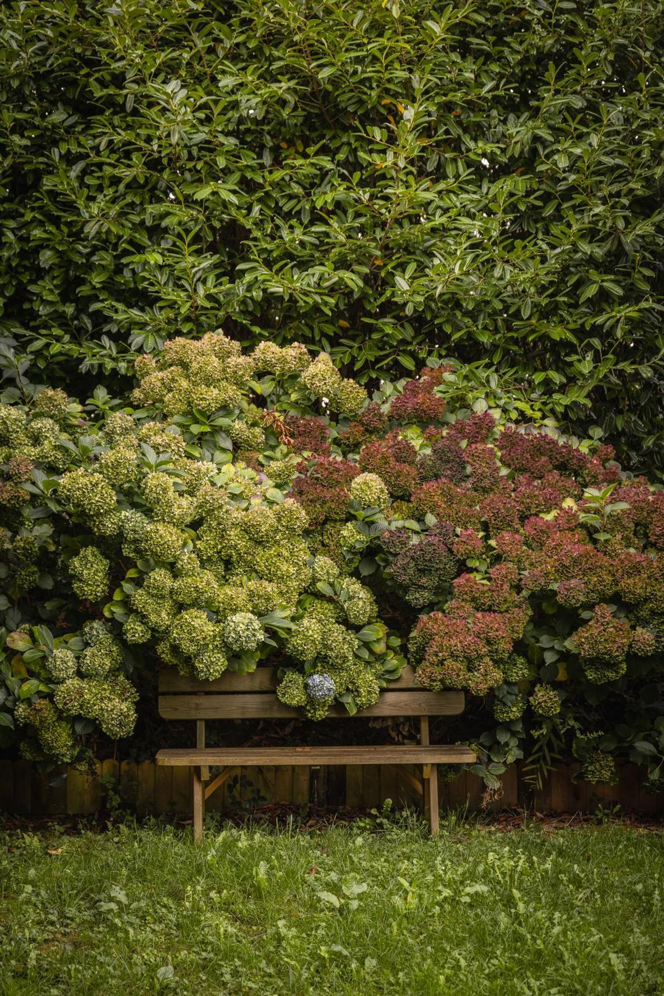 Le Jardin Enchanteur, Chaleureuse Maison D'Hotes Eco-Responsable, Calme Et Accueillante Lopérec Kültér fotó